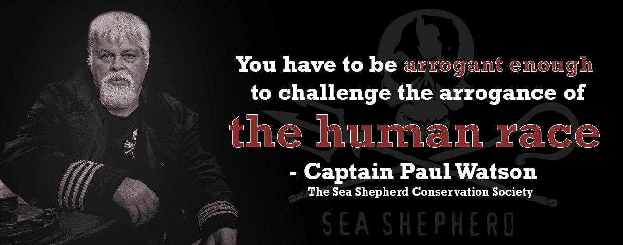 Paul Watson Quote