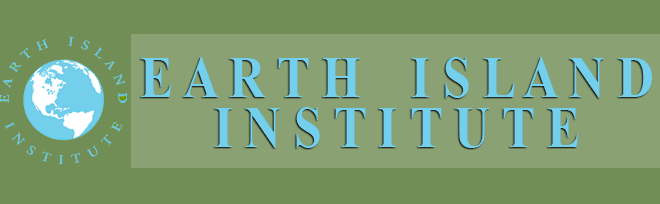 Non profit organisation Earth Island institute